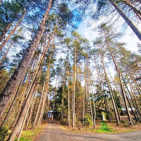 Bungalow Direkt Am See, Mit Eigenem Boot Roding Bagian luar foto