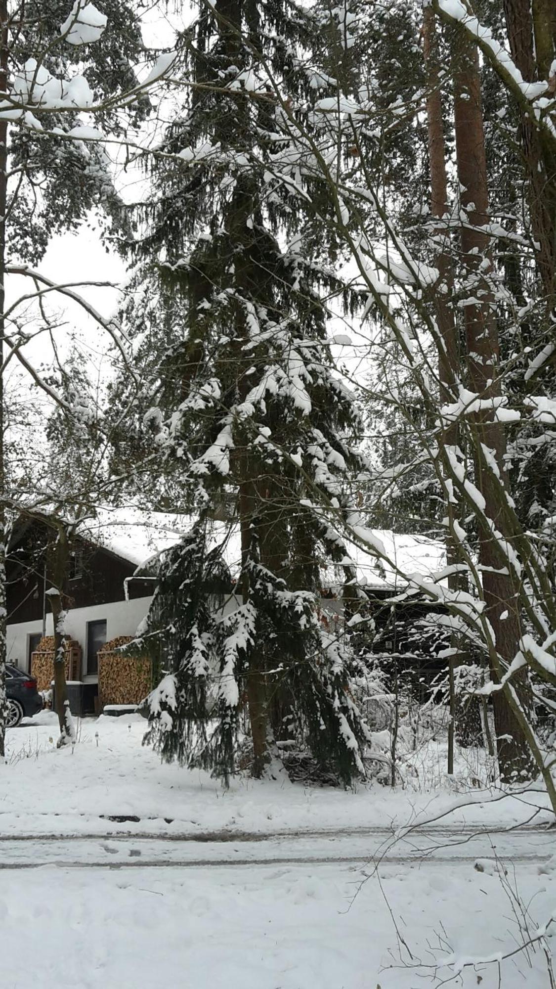 Bungalow Direkt Am See, Mit Eigenem Boot Roding Bagian luar foto