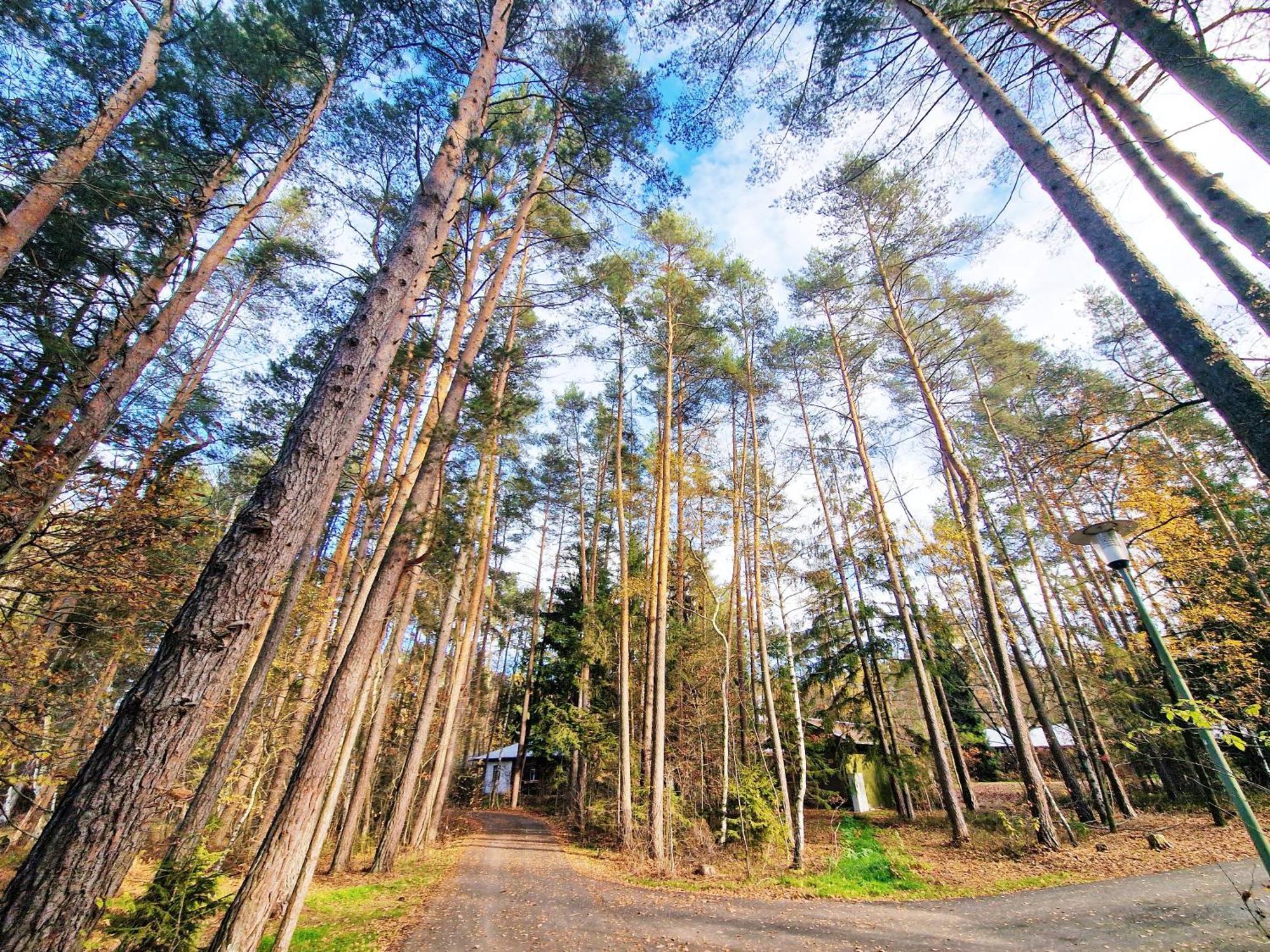 Bungalow Direkt Am See, Mit Eigenem Boot Roding Bagian luar foto