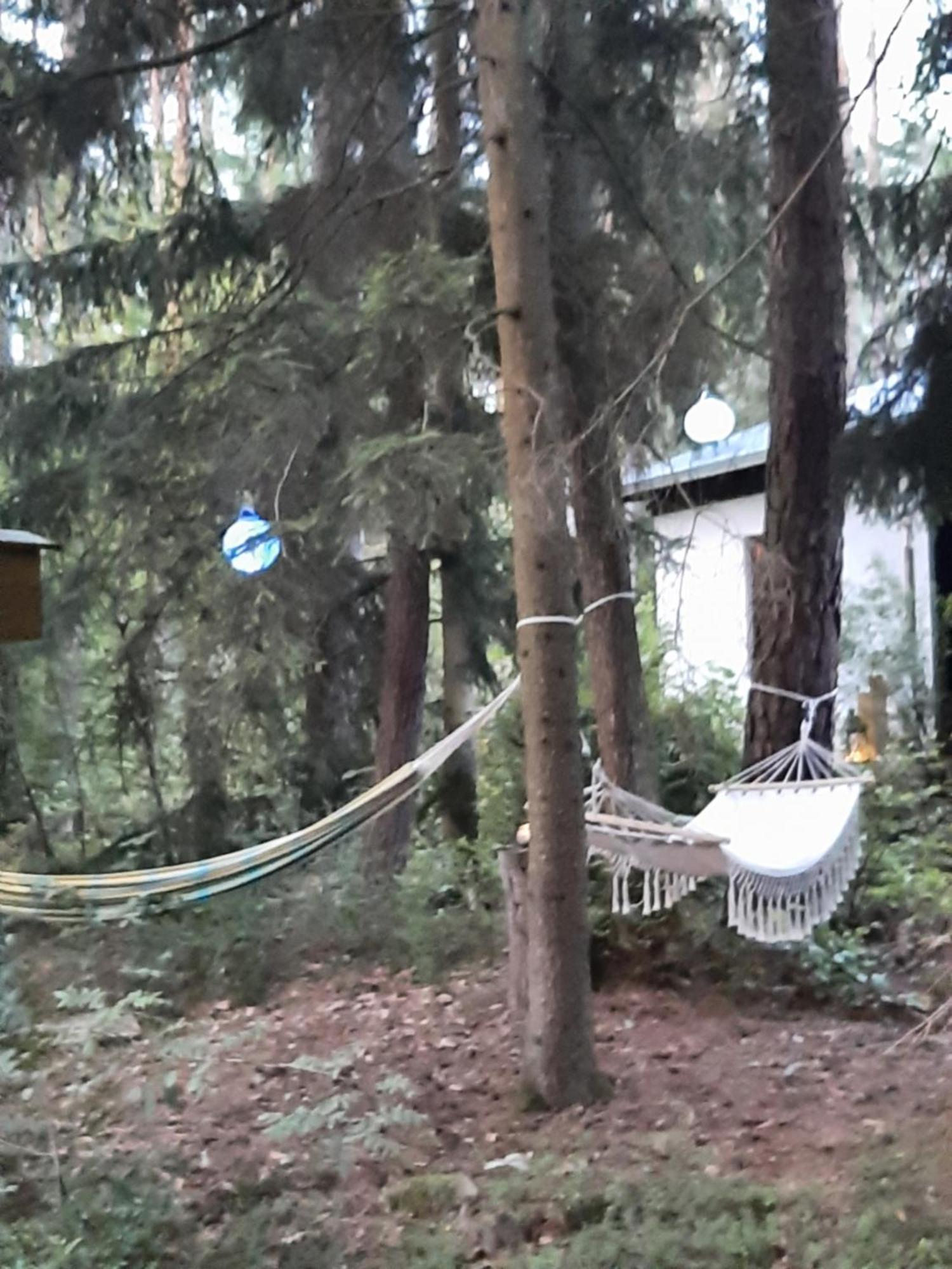 Bungalow Direkt Am See, Mit Eigenem Boot Roding Bagian luar foto